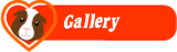 Picture gallery